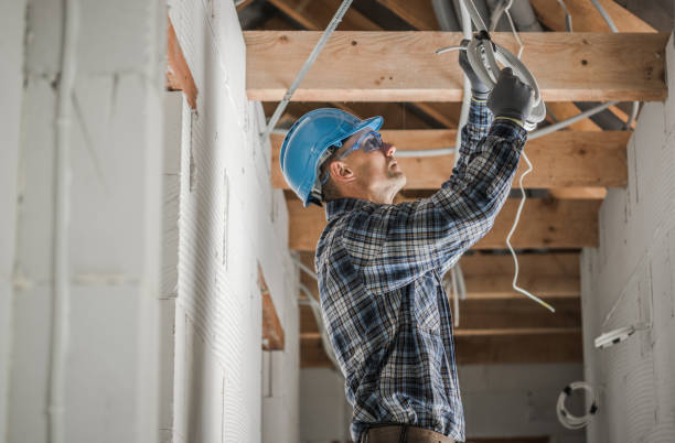 Best Electric Panel Repair  in Siloam Springs, AR